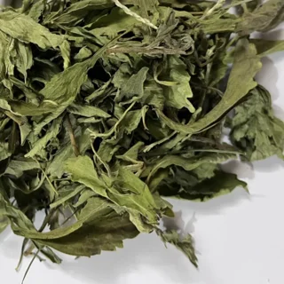 شیرین کننده طبیعی برگ استویا - 75 گرم 102048363