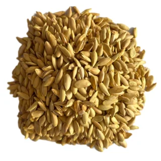 تخمه خربزه برشته - 350 گرم 102048361