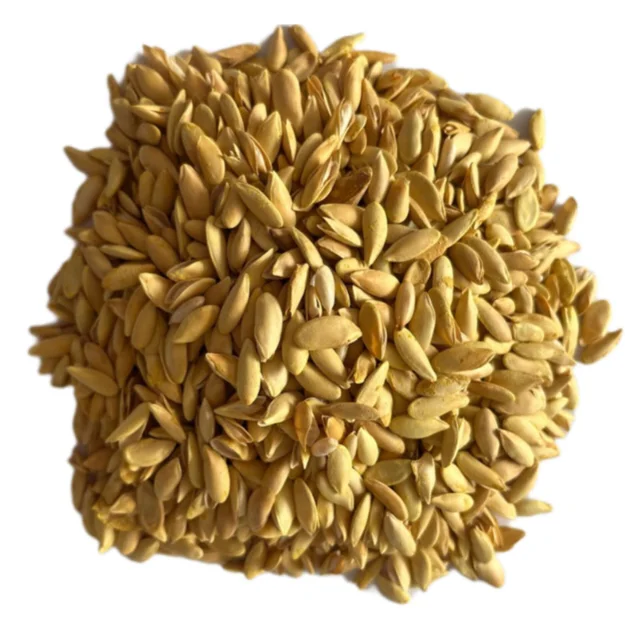 تخمه خربزه برشته - 350 گرم 102048361