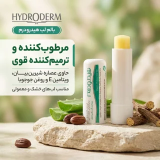 بالم لب هیدرودرم مدل 01 مرطوب‌کننده و ترمیم‌کننده با عصاره شیرین‌بیان، ویتامین E و روغن جو 102760943